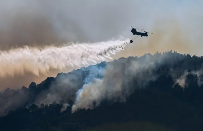 Φωτιά στον Έβρο: Βίντεο από τους 18 μετανάστες λίγο πριν χάσουν τη ζωή τους