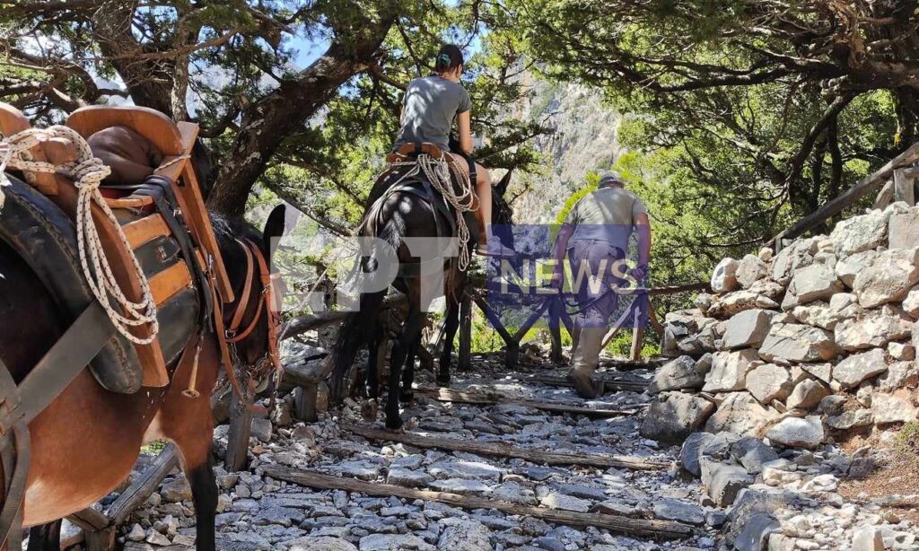 Σαμαριά: Απομακρύνθηκαν οι τουρίστες που διανυκτέρευσαν στο φαράγγι μετά το τραγικό δυστύχημα