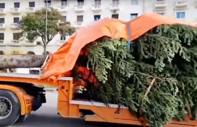 Χριστούγεννα: Έφτασε το χριστουγεννιάτικο δέντρο στην Αριστοτέλους