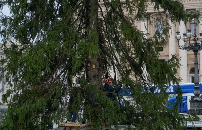 Τα έλατα τρώγονται απαντά η Στοκχόλμη στο Βέλγιο